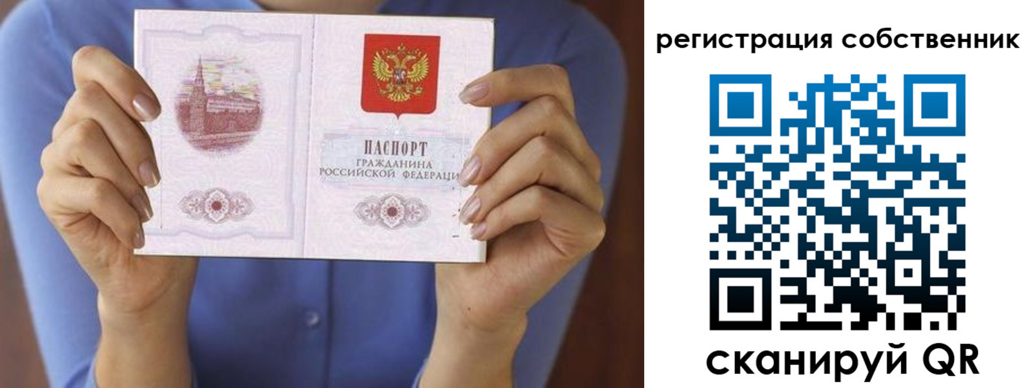 временная регистрация гарантия в Благовещенске